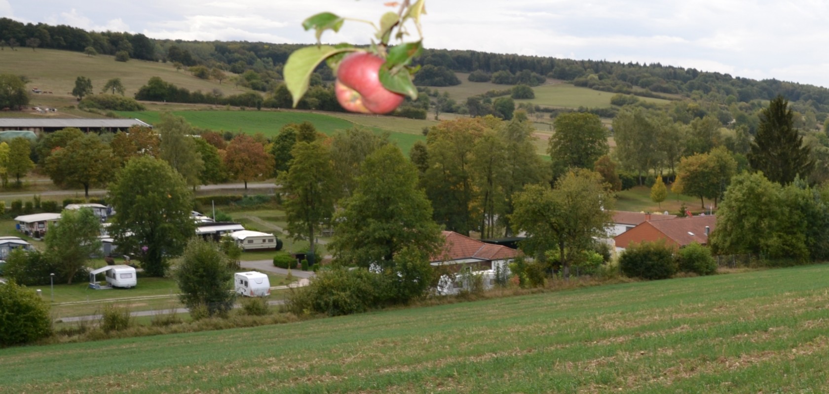 Campingplatz Walsheim — photo 7