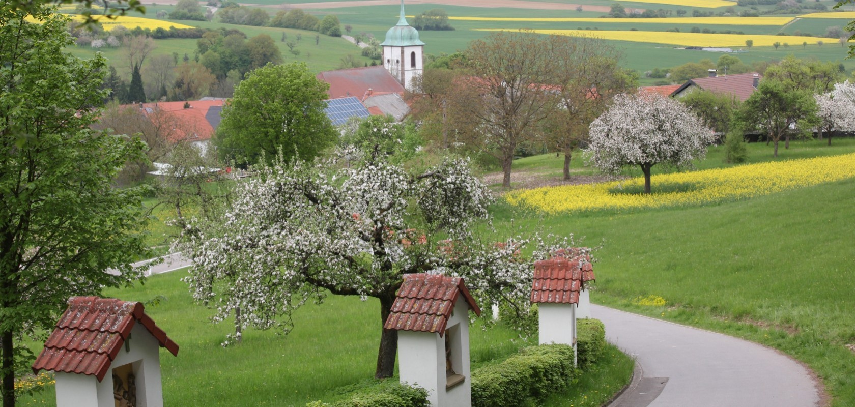 Campingplatz Walsheim — photo 6